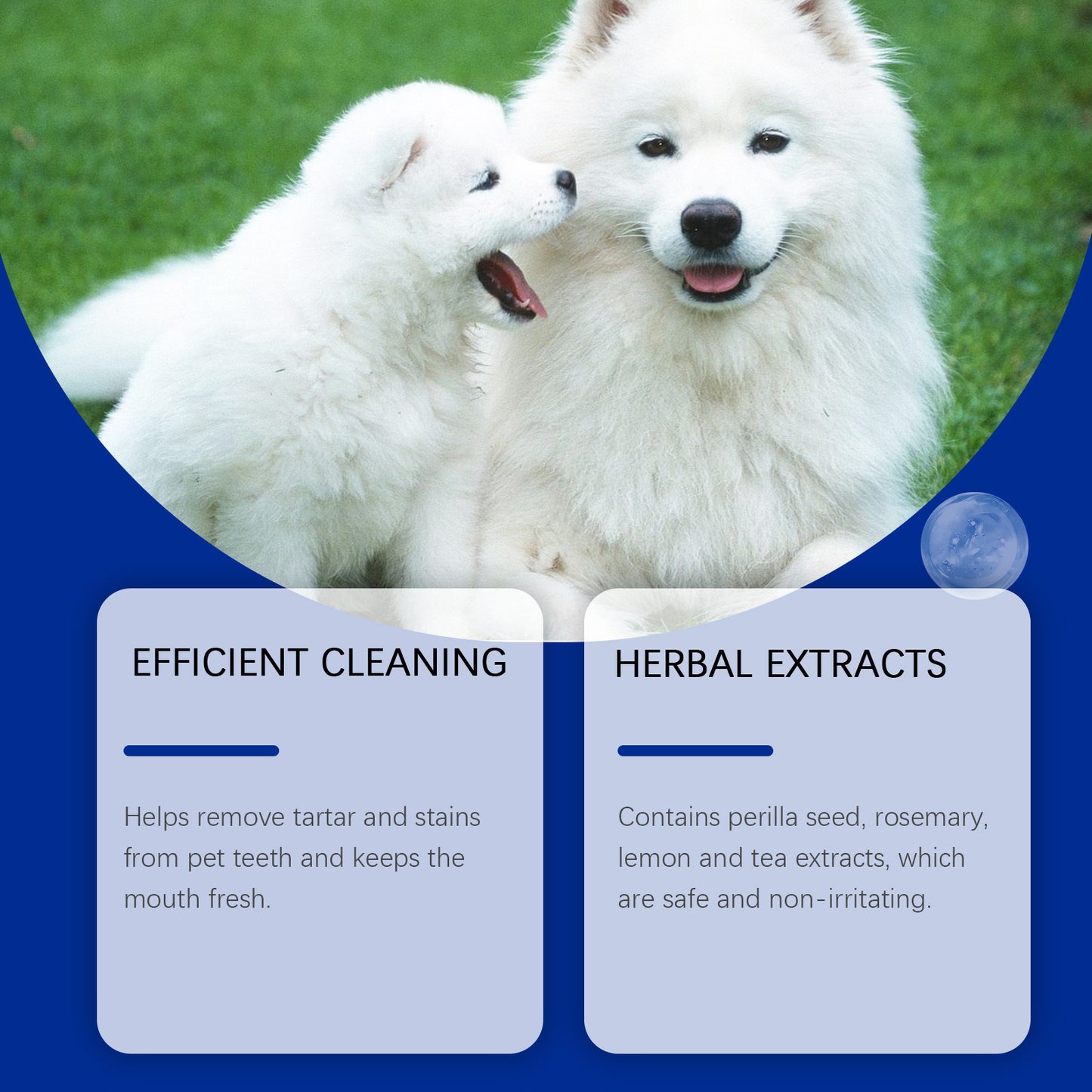 Fresh Breath And Mild Teeth Cleaning Powder