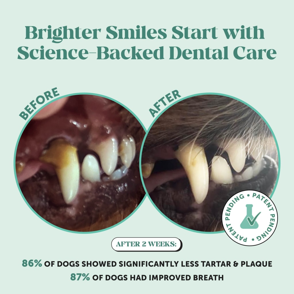 DENTAL POWDER FOR DOGS